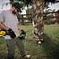Image result for Milwaukee Commercial Weed Eater