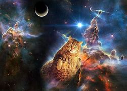 Image result for Space Cat Desktop Wallpaper