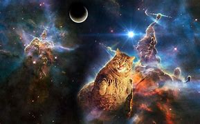 Image result for Astronomy Cat Art