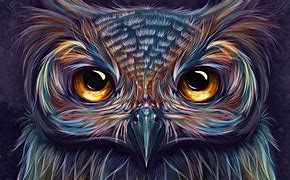 Image result for Colorful Owl Wallpaper