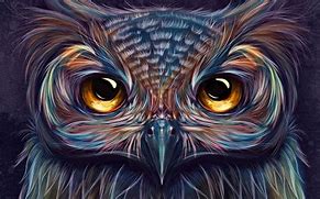 Image result for Owl Drawings Colorful Art