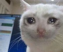 Image result for Crying Happy Cat