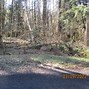 Image result for Ashford, WA