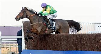 Image result for Ascot Jumps Racing