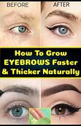 Image result for How to Grow Eyebrows