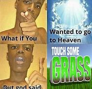 Image result for Go Touch Grass Meme