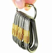 Image result for Titanium D-Ring Keychain