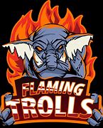 Image result for Flaming Trolls