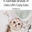 Image result for Animals with Curved Ears