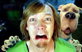 Image result for Shaggy vs Scooby Doo