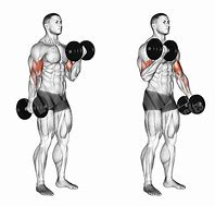 Image result for Dumbbell Workout for Chest