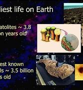 Image result for Earliest Life On Earth