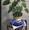 Image result for Plant Still Life Painting