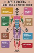 Image result for Gym Body Parts With