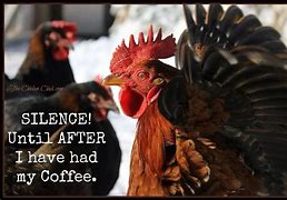 Image result for Rooster Coffee Quote