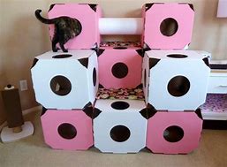 Image result for Catty Stacks