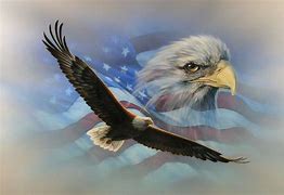 Image result for American Eagle and Flag iPhone Wallpaper