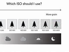 Image result for What Is ISO Photography