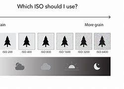 Image result for ISO Examples