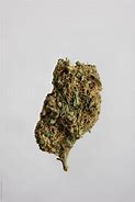 Image result for Nug of Weed