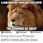 Image result for Lion Cat Meme