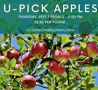 Image result for Apple Picking Farms in Alaska