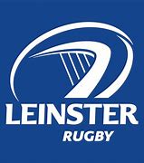 Image result for Leinster House