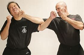 Image result for Self Movement in Martial Arts