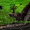 Image result for Halloween Spider Graphic