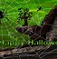 Image result for Halloween Web Background