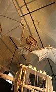 Image result for Leonardo Da Vinci Flying Machine