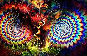 Image result for Trippy Animal Wallpapers