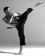 Image result for Figure Poses Martial Arts