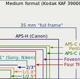 Image result for iPhone 11 vs 13 Size