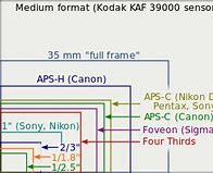 Image result for Nikon Sensor Sizes