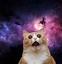 Image result for Cute Space Cat Wallpaper Art