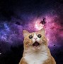 Image result for space cat wallpapers