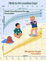 Image result for Age and Weight Growth Chart