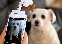 Image result for PhoneDog Attachment