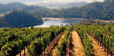 Image result for california wine country
