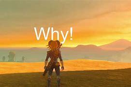 Image result for BOTW Glitches