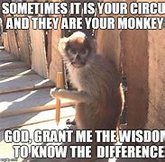Image result for Monkey God Meme