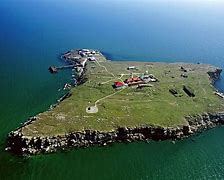 Image result for Russia leaves Snake Island