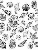 Image result for Dessin Mer Coquillage