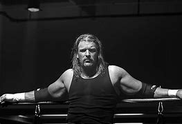 Image result for Triple H
