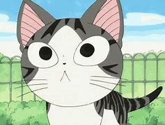 Image result for Chi Cat Angry