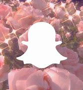 Image result for Cute Aesthetic Snapchat Icon
