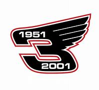 Image result for Dale Earnhardt Jr. Number Logo.png