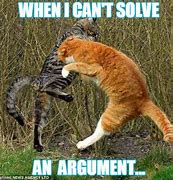 Image result for Cat Argument Meme