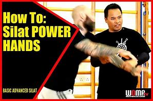 Image result for Silat Martial Arts